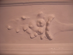 freilegungsarbeiten stuckateur